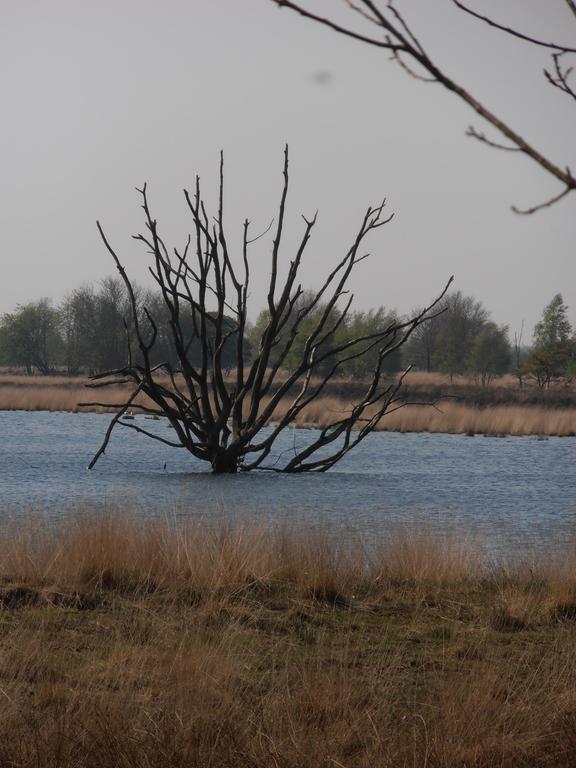 Gezond Boeren Verstand Dalerveen エクステリア 写真