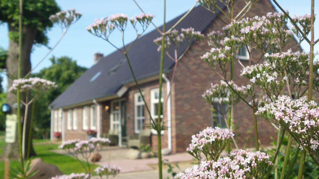 Gezond Boeren Verstand Dalerveen エクステリア 写真