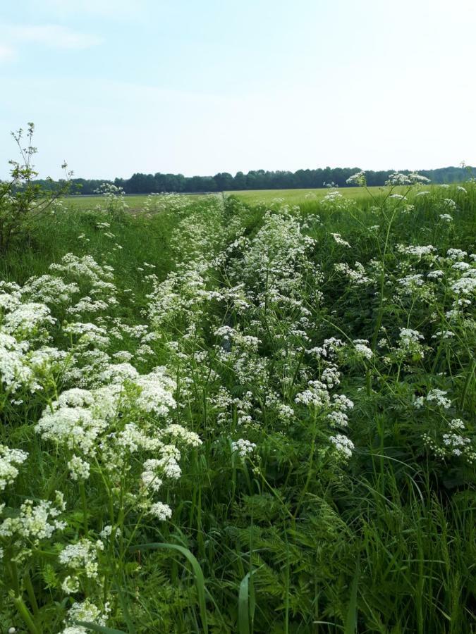 Gezond Boeren Verstand Dalerveen エクステリア 写真